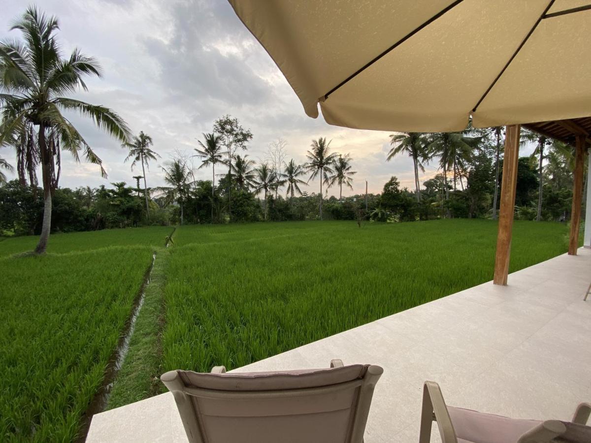 Luxury Villa Ada Padi Ubud One Bed Room Zewnętrze zdjęcie