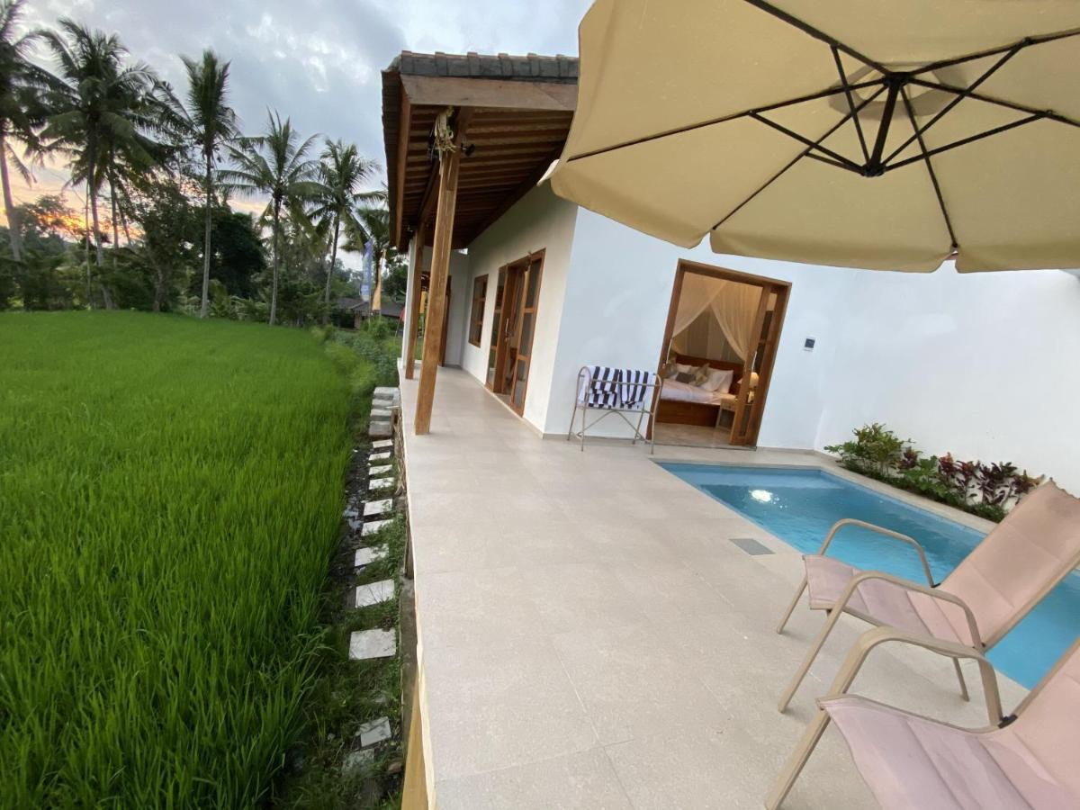 Luxury Villa Ada Padi Ubud One Bed Room Zewnętrze zdjęcie