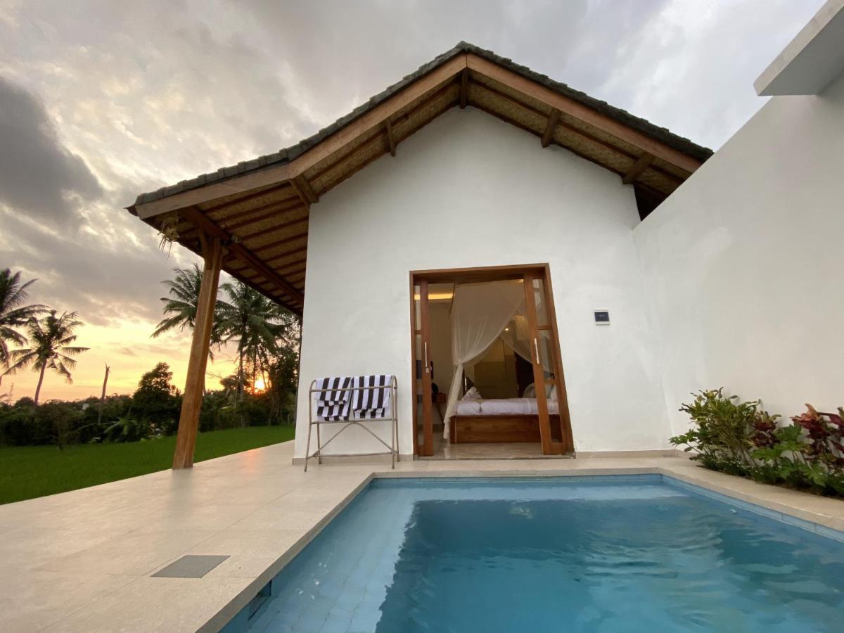 Luxury Villa Ada Padi Ubud One Bed Room Zewnętrze zdjęcie