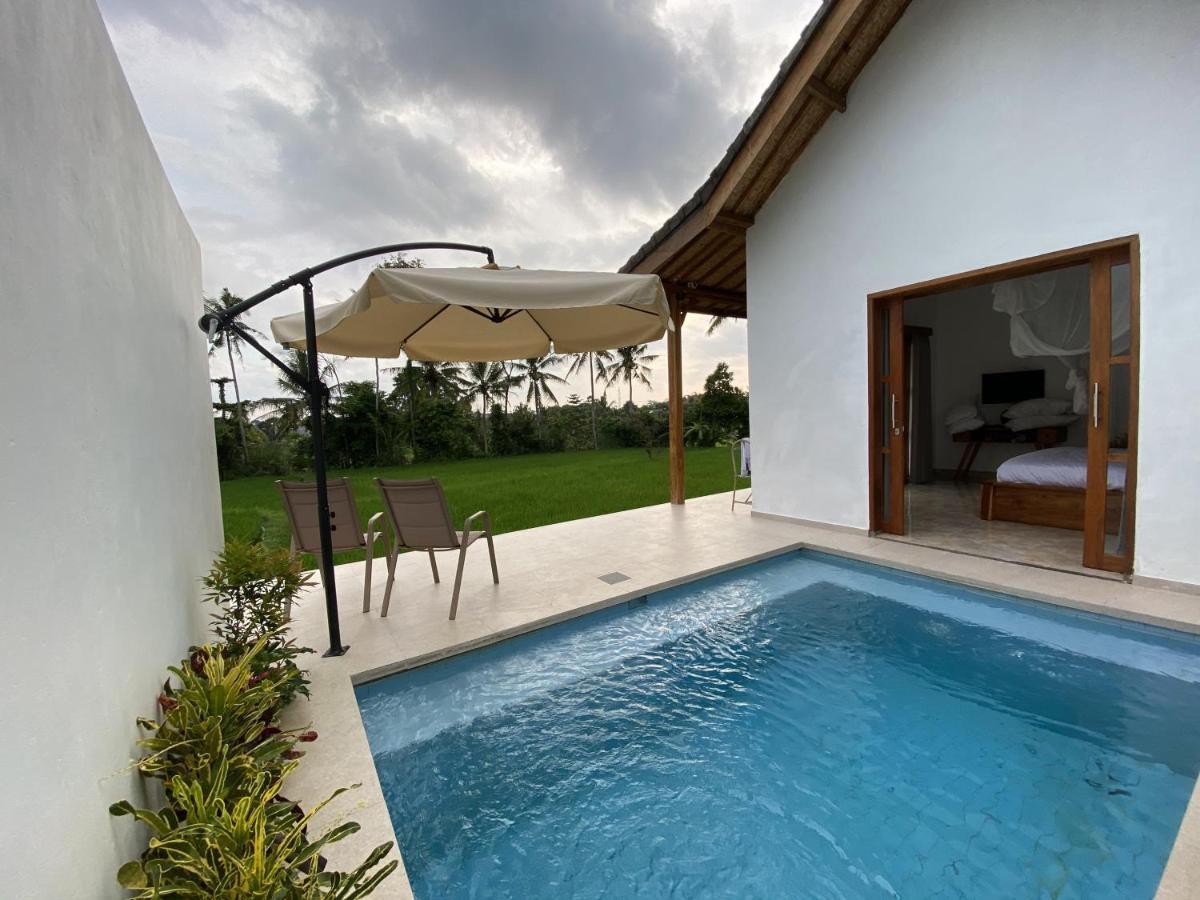 Luxury Villa Ada Padi Ubud One Bed Room Zewnętrze zdjęcie