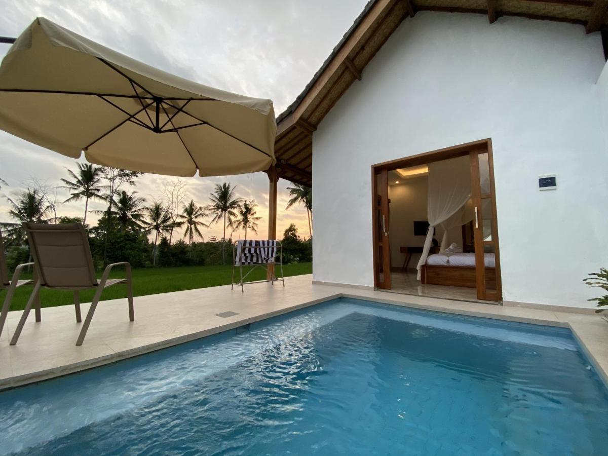 Luxury Villa Ada Padi Ubud One Bed Room Zewnętrze zdjęcie